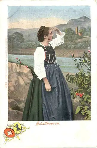 Schaffhausen -703758