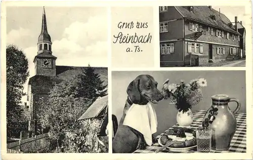 Gruss aus Steinbach am Taunus - Gasthaus zum Schwanen -704602