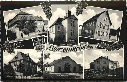 Monzernheim Rheinhessen -705004