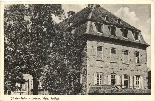 Guntersblum Rhein - Altes Schloss -704920