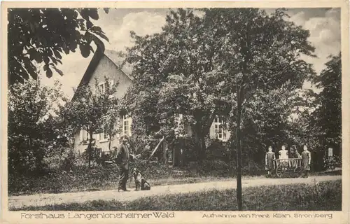 Langenlonsheim Nahe - Forsthaus Langenlonsheimer Wald -705094