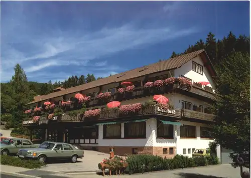 Baiersbronn - Hotel Waldlust -705330