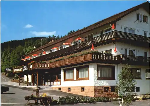 Baiersbronn - Hotel Waldlust -705338