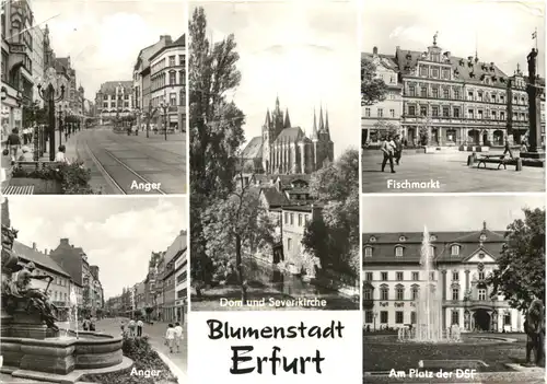 Blumenstadt Erfurt -705684