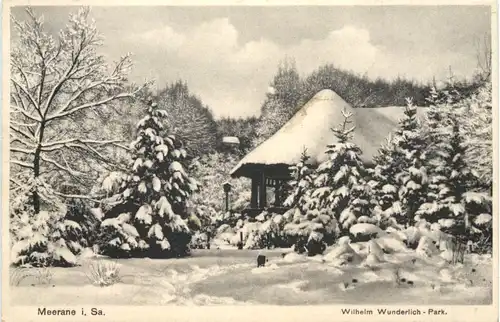 Meerane in Sachsen - Wilhelm Wunderlich Park im Winter -705634