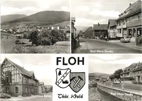 Floh - Thüringer Wald -705686