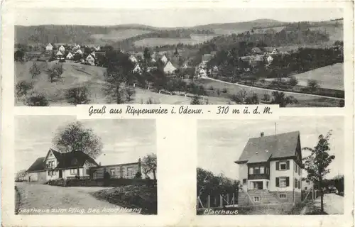 Gruss aus Rippenweier im Odenwald - Weinheim -706028