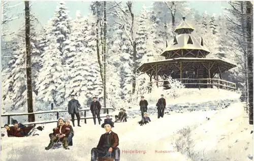 Heidelberg - Rodelbahn -706110
