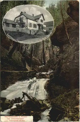 Wolfsschlucht am Neckar bei Unterdielbach - Eberbach -706246