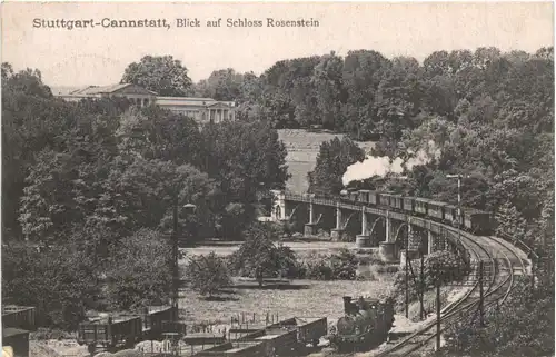 Stuttgart-Cannstatt - Blick auf Schloss Rosenstein -706218