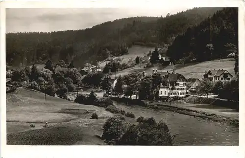 Schönmünzach im Murgtal - Hotel Waldhorn -706404