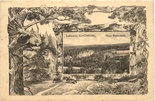 Schömberg - Neue Heilanstalt -706470