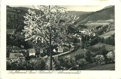 Bad Peterstal Schwarzwald -706686