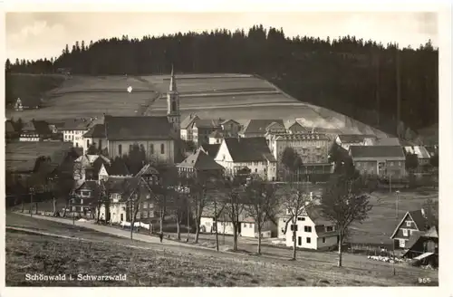 Schönwald im Schwarzwald -706738