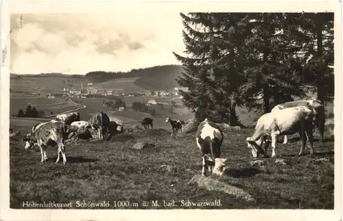 Schönwald im Schwarzwald -706742