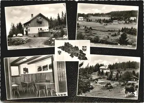 Hierholz über St. Blasien - Schlesierhaus -706780