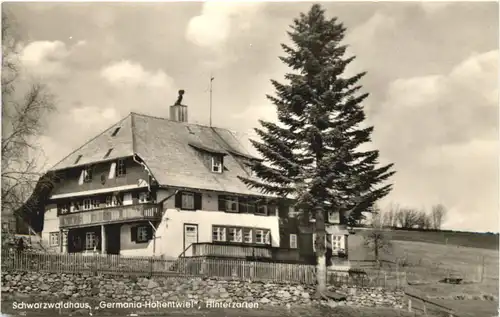 Hinterzarten - Schwarzwaldhaus Germania Hohentwiel -706854