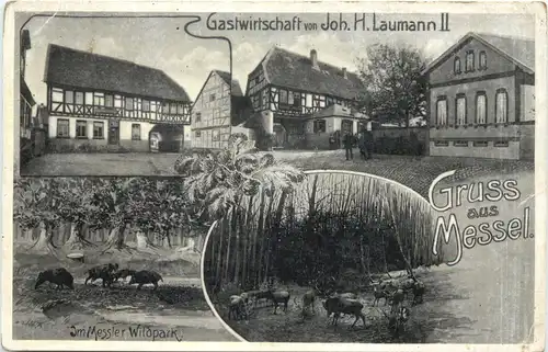 Gruss aus Messel - Gastwirtschaft von Joh. Laumann -707864