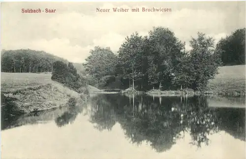 Sulzbach Saar - Neuer Weiher mit Bruchwiesen -708268