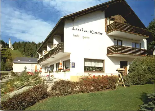 Schönwald - Landhaus Karoline -708652