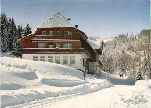 Hinterzarten - Gasthaus Esche -708698