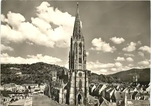 Freiburg - Münster -708740