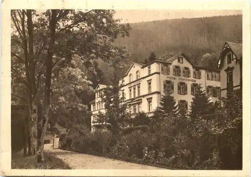 Wildbad - Hotel Concordia -709008