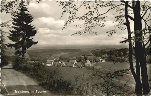 Treisberg im Taunus -709054