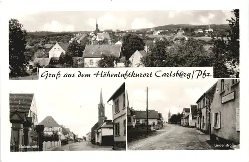 Carlsberg Pfalz - Jung-Schlee -709370