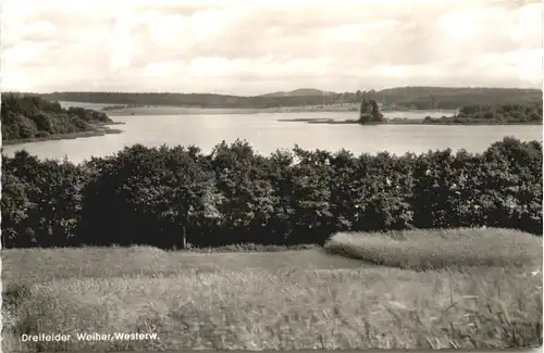 Steinebach über Selters - Dreifelder Weiher - Westerwald -709652