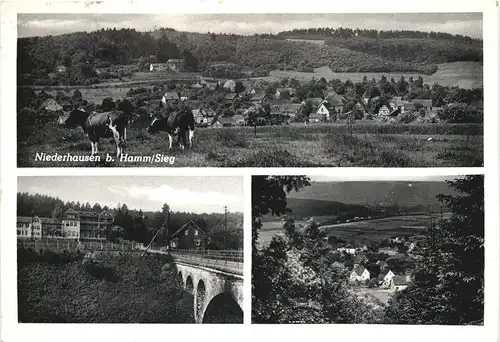 Niederhausen bei Hamm Sieg - Pracht -709718