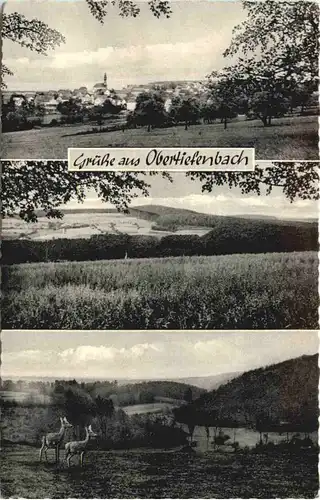 Gruss aus Obertiefenbach Taunus -709666