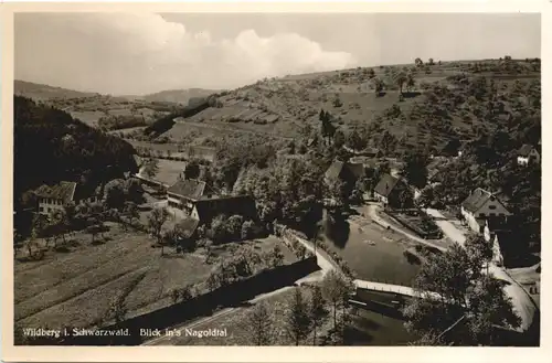 Wildberg im Schwarzwald -709992