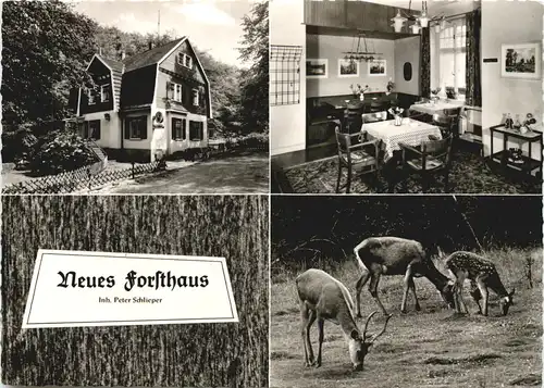 Gevelsberg - Neues Forsthaus -710112