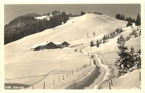 Alpe Eck beim Allgäuer Berghof über Sonthofen -710006