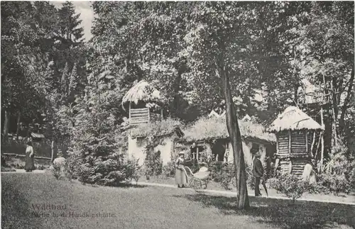 Wildbad - Partie an der Hundiughütte -710352