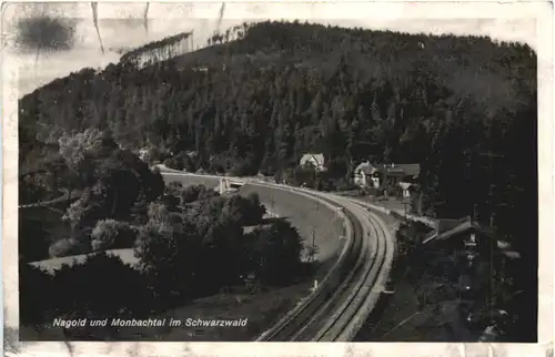 Nagold und Monbachtal -710276