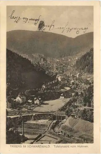 Triberg im Schwarzwald -710302