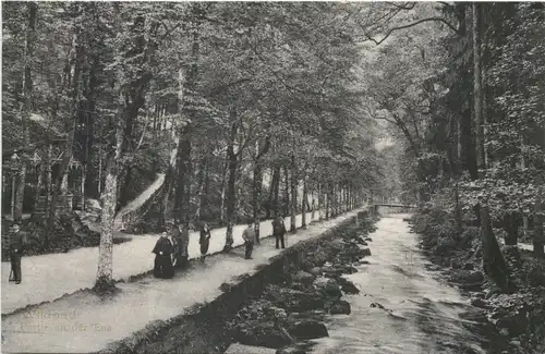 Wildbad - Partie an der Enz -710350