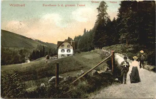 Wildbad - Forsthaus bei der grossen Tanne -710344