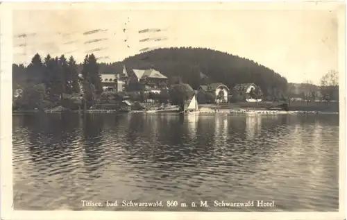 Titisee - Schwarzwald Hotel -710320