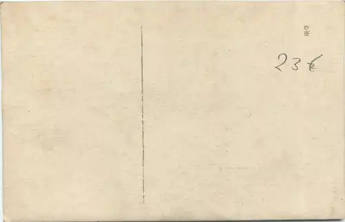 Wald im Sommegebiet -710490