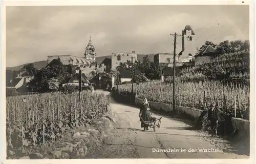 Dürnstein in der Wachau -710750