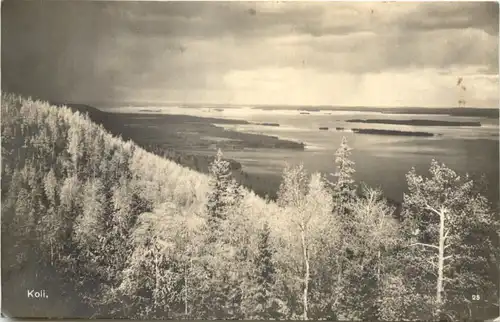 Finland - Koli -711172