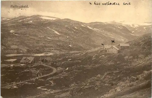 Hallingskeid - Norge -711156