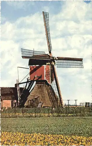 Holandse Molen - Windmühle -711310