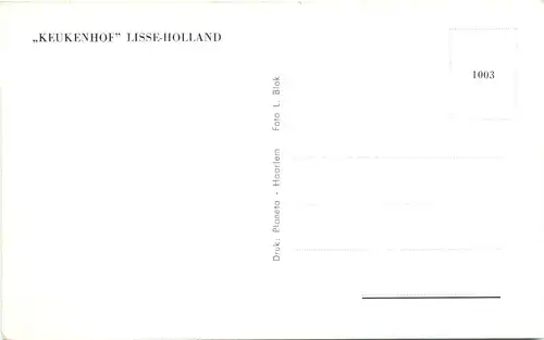 Lisse - Keukenhof -711354