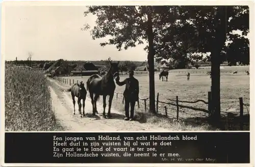 Een jongen van Holland -711408