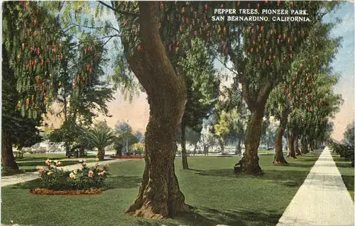 San Bernardino - California -711772