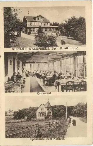 Martinstein-Nahe - Waldfriede im Soonwald -712072